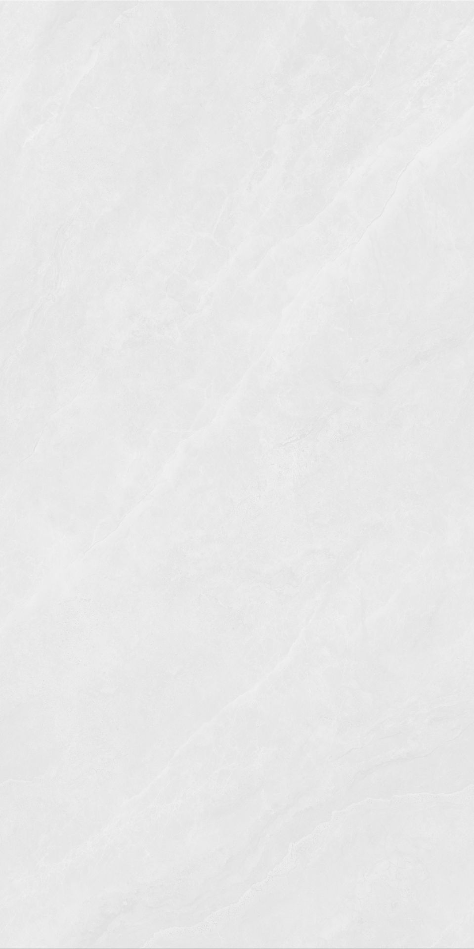 JL48810