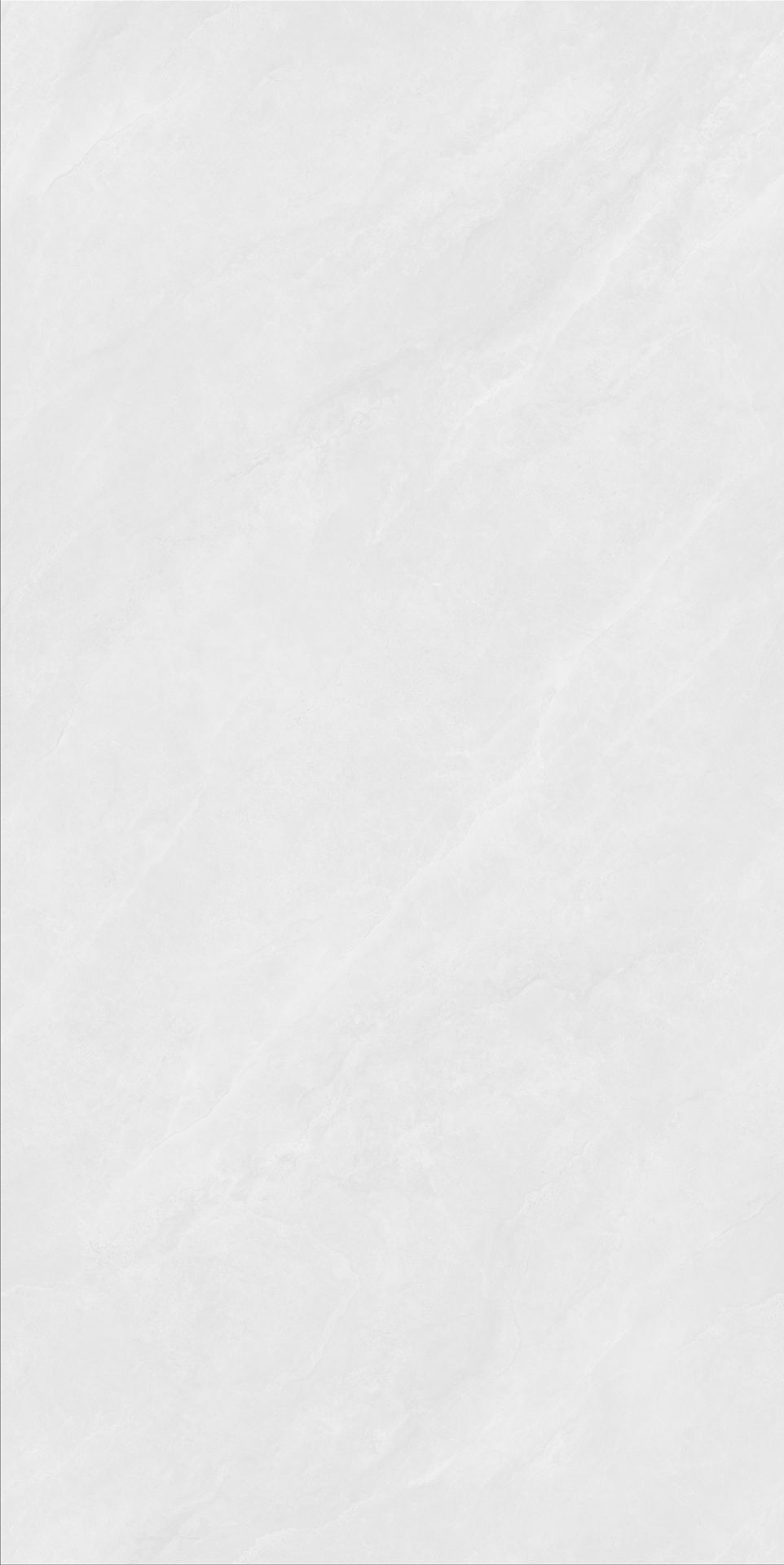 JL48810