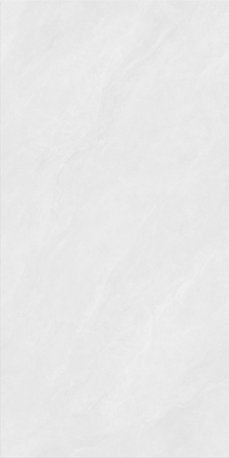 JL48810