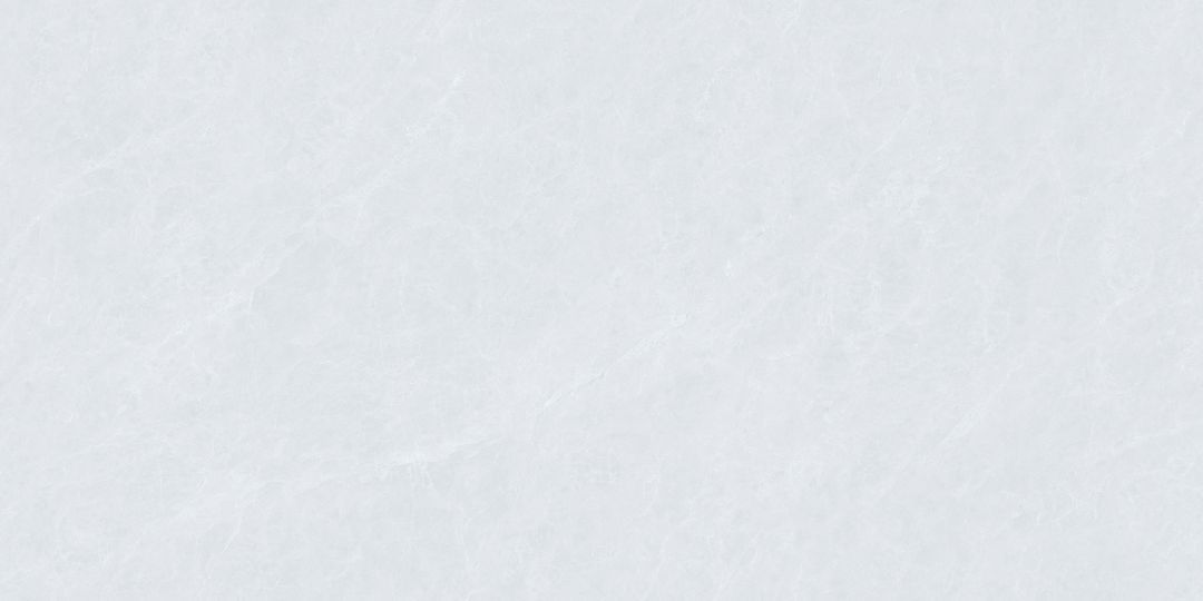 JL48805