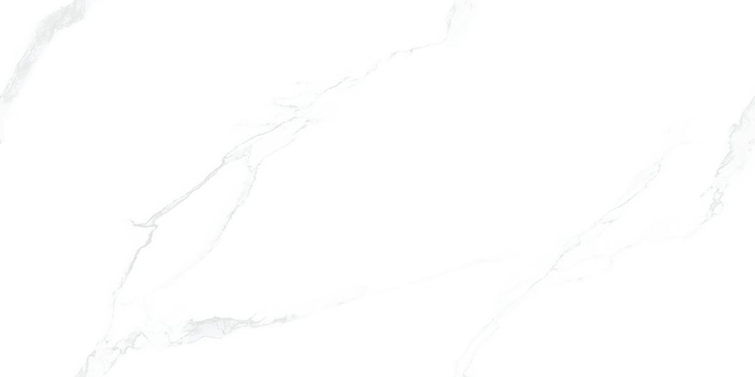 JL12699