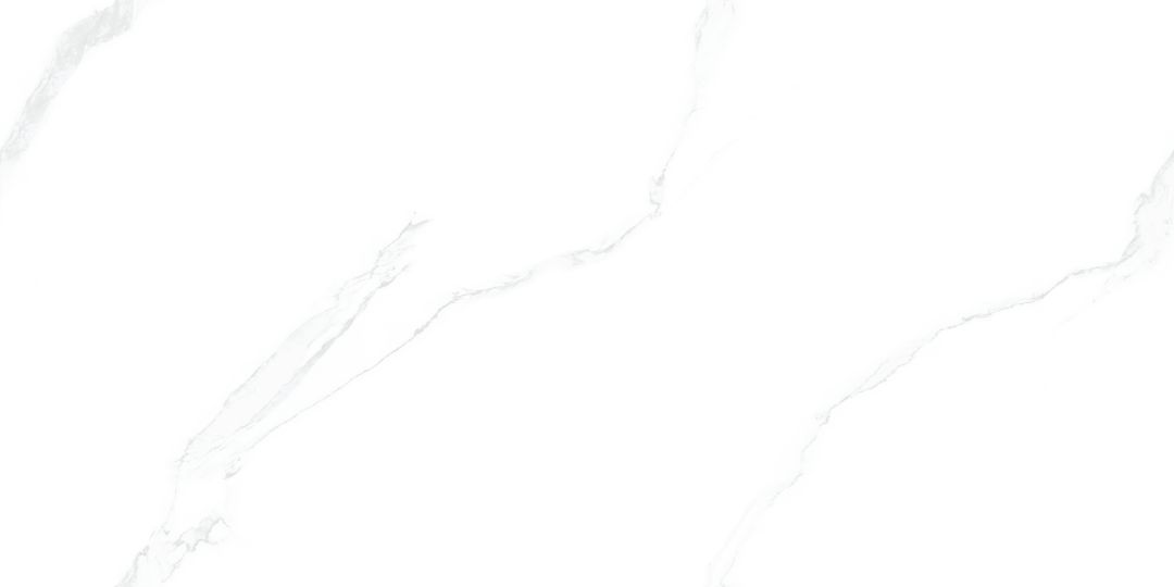 JL12699