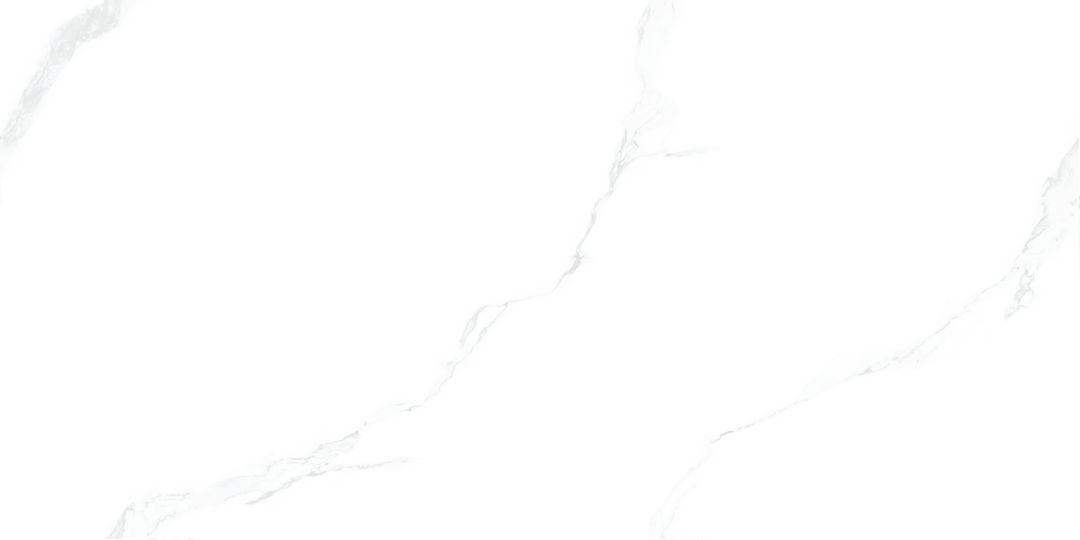 JL12699