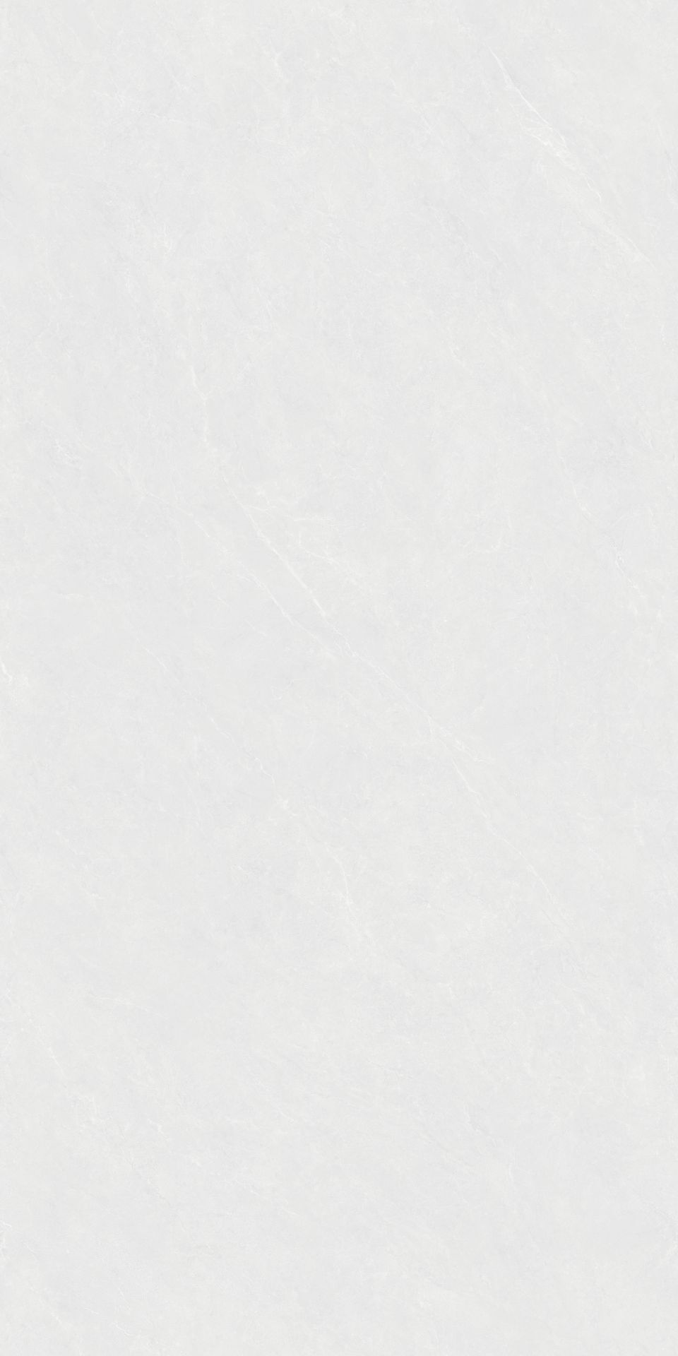 JL12619