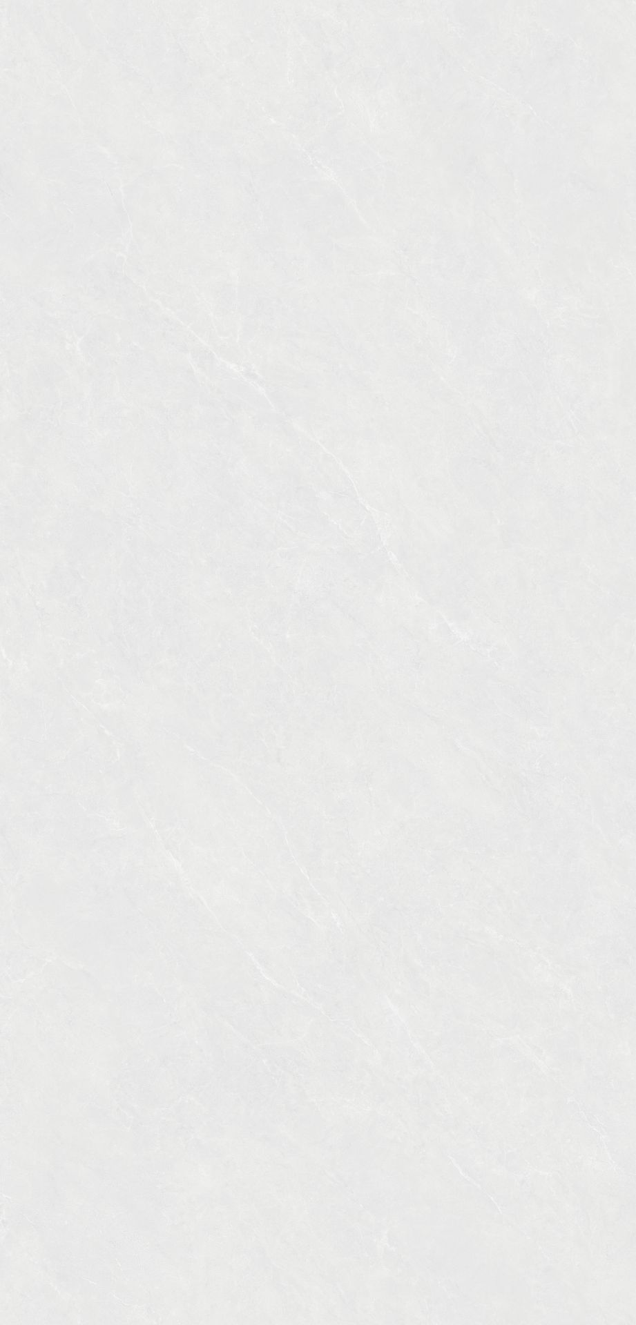 JL12619