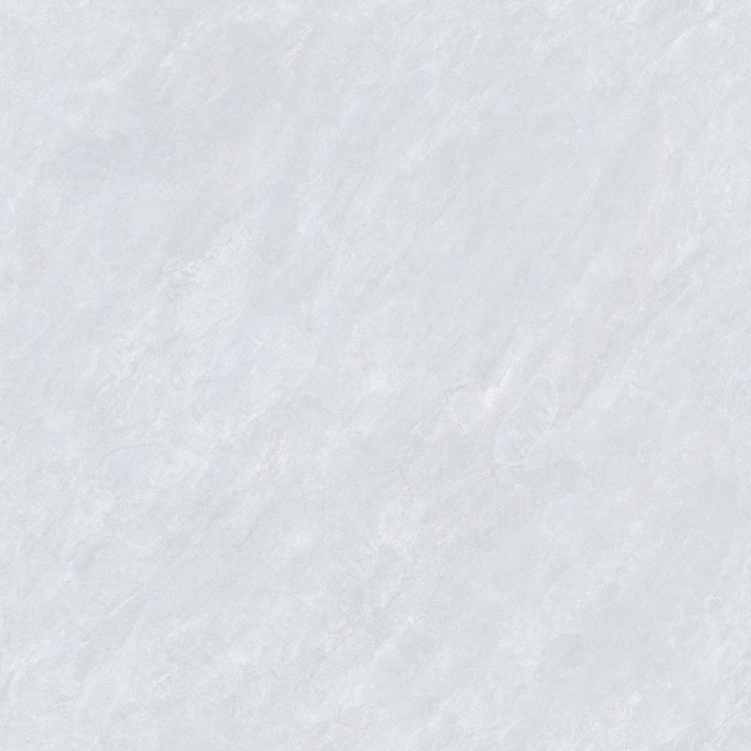 J00806（卡地亚灰）