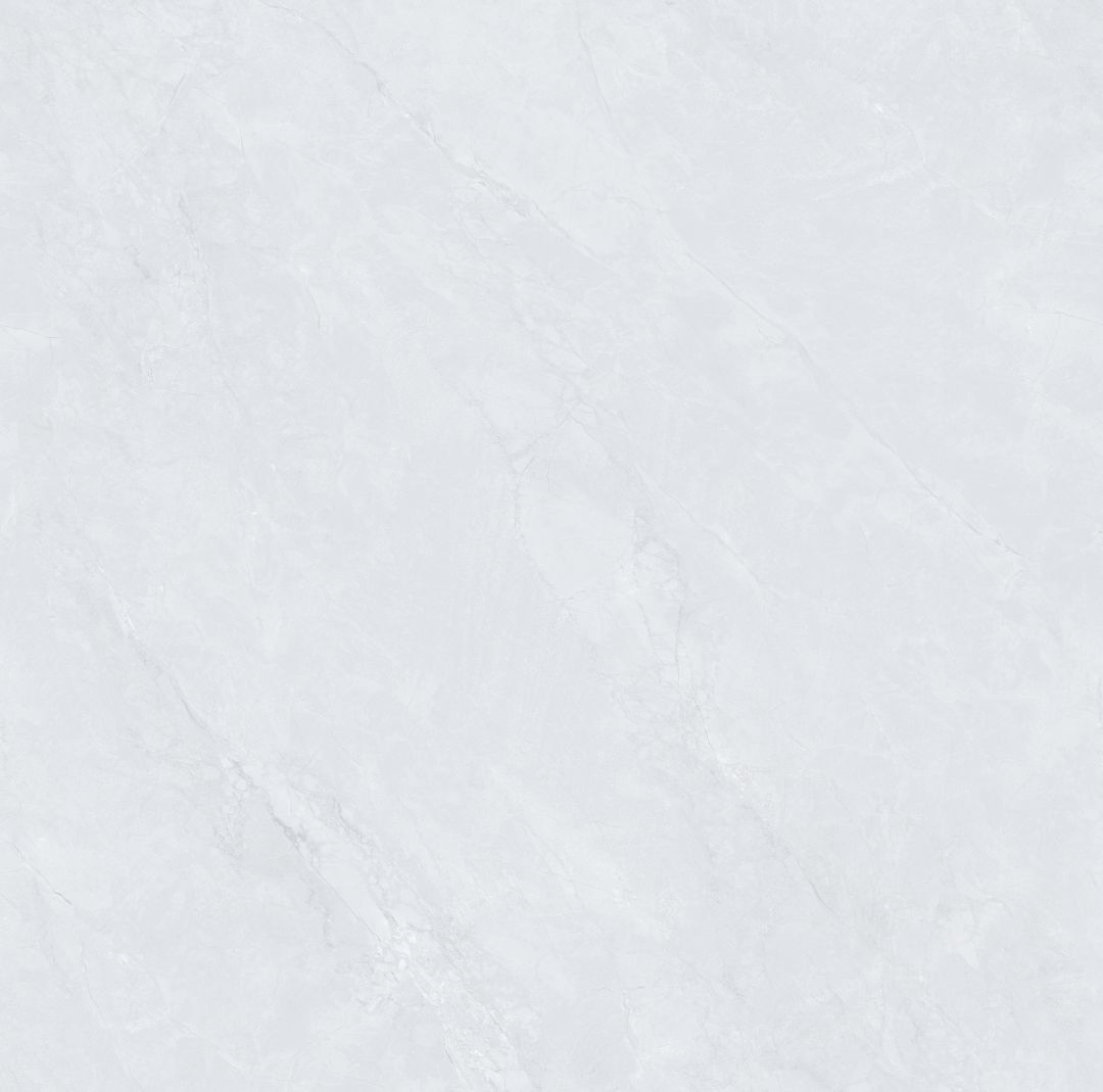 JL8T002 新鱼肚灰