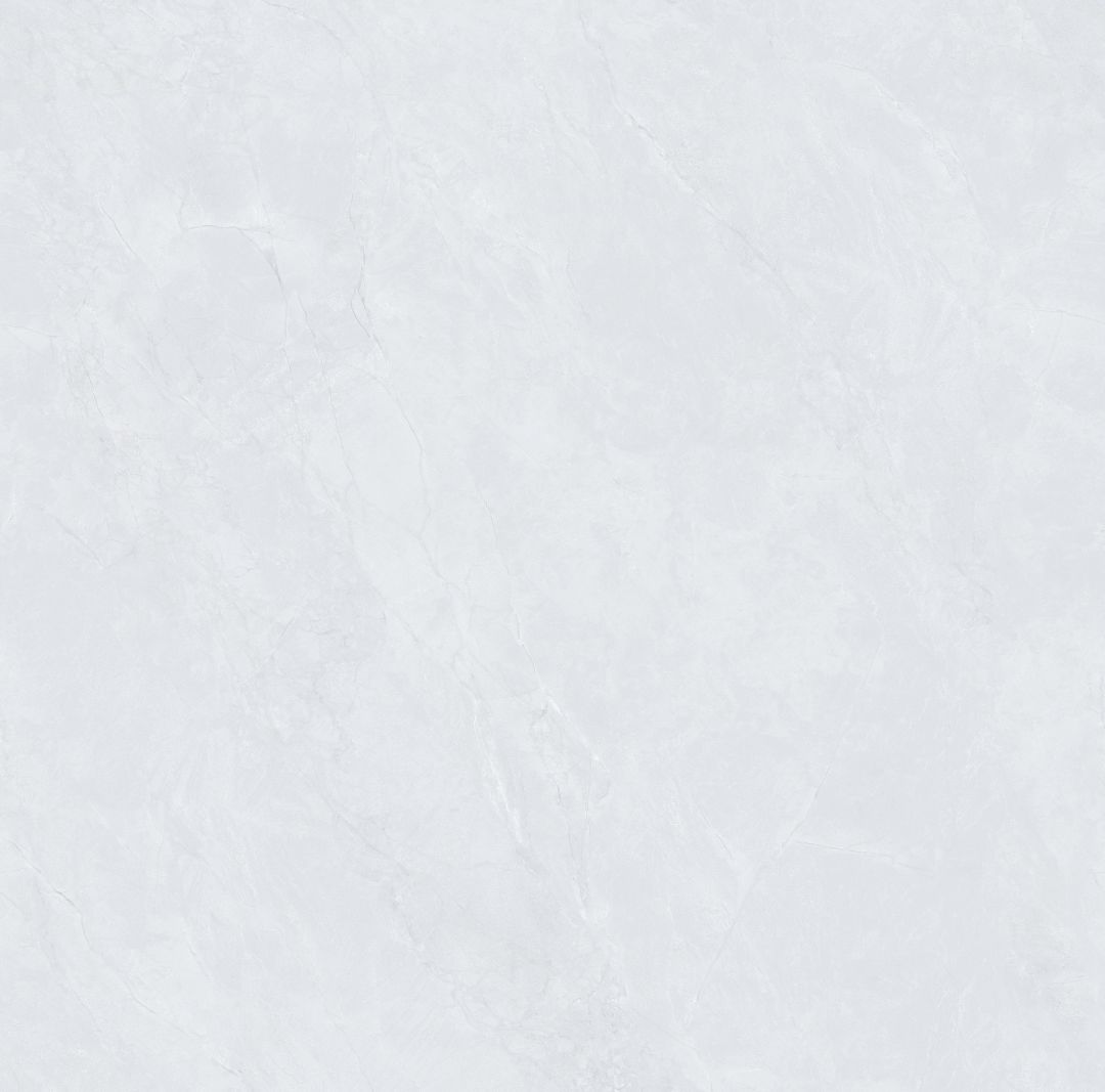 JL8T002 新鱼肚灰