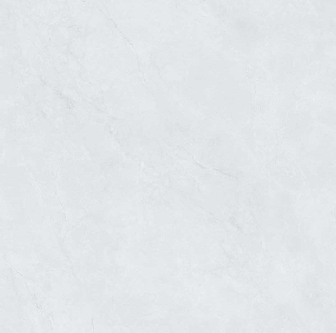 JL8T002 新鱼肚灰