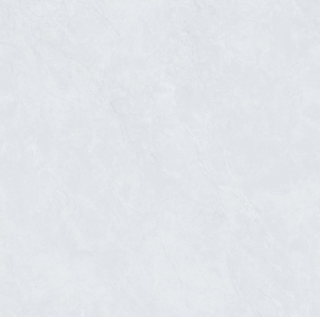 JL8T002 新鱼肚灰