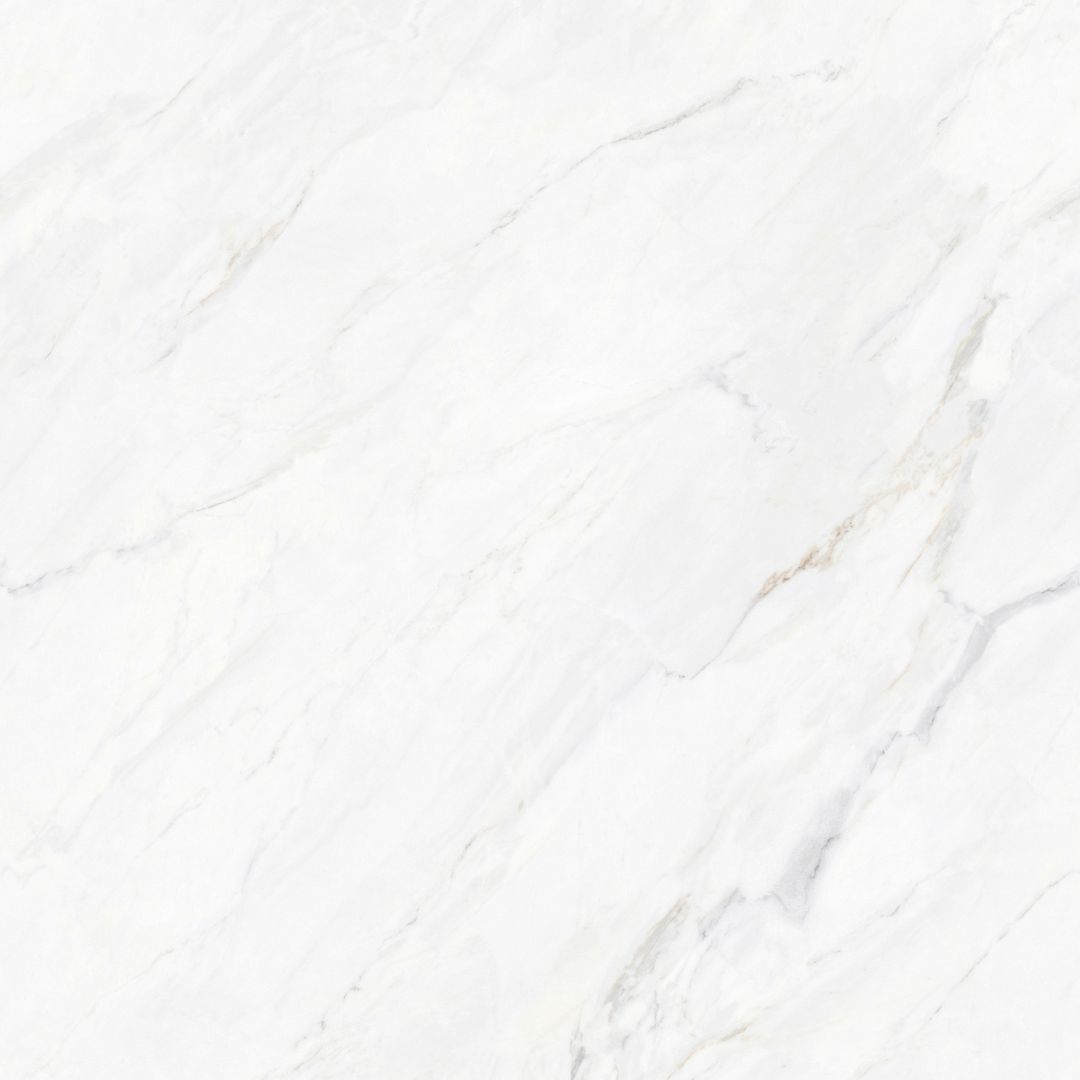 JL8T001 维尼斯白