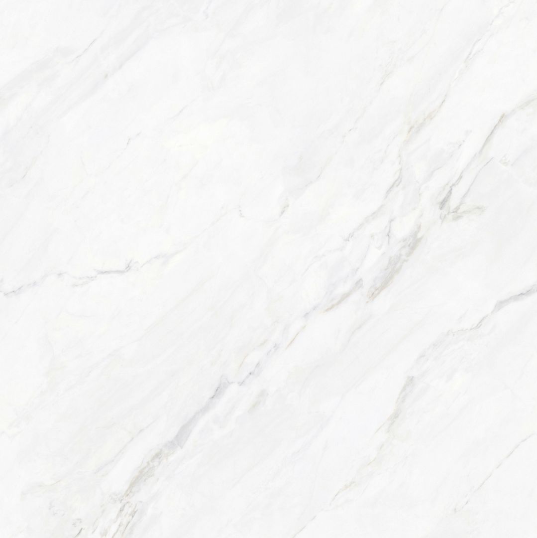 JL8T001 维尼斯白