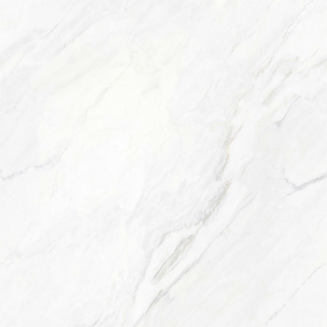 JL8T001 维尼斯白