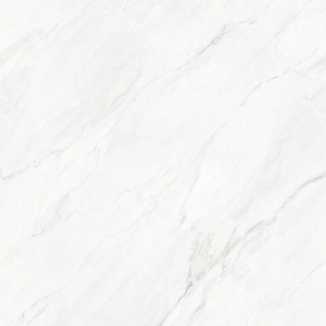 JL8T001 维尼斯白