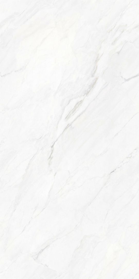 JL6T001 维尼斯白